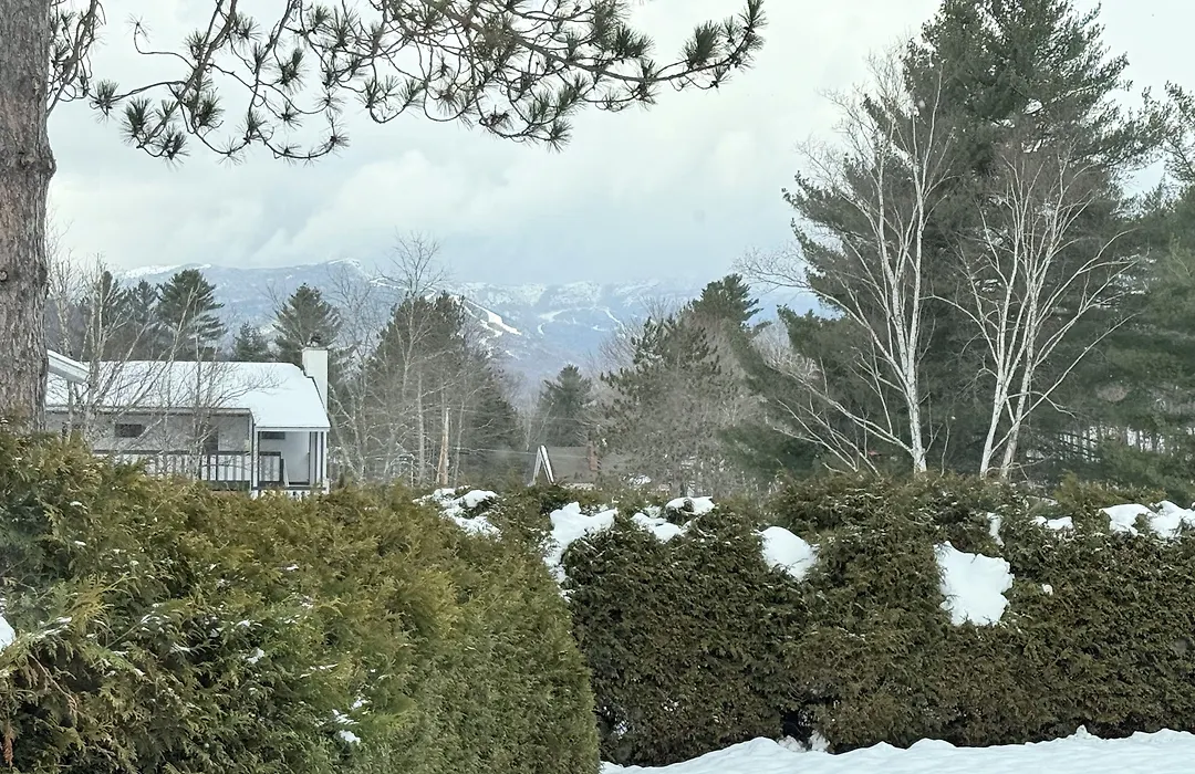 Stowe Motel & Snowdrift-1